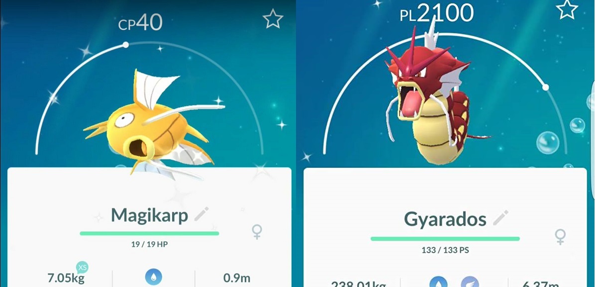 A Che Livello Si Evolve Totodile