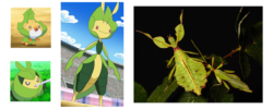 Pokémonstrorum Herbarium – Sudowoodo e i Pokémon imitazione